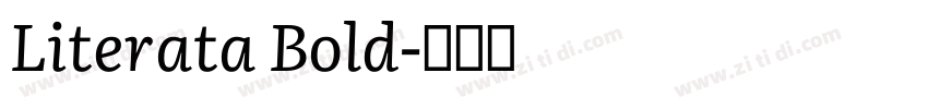 Literata Bold字体转换